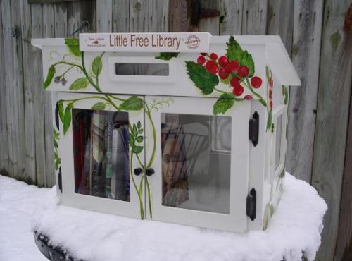 little library 002